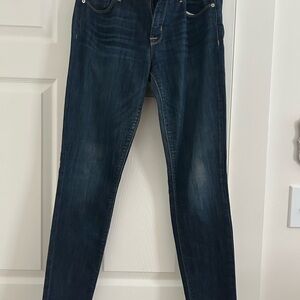 Hudson Jeans Krista Skinny Jeans size 29